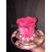 Стабилизированная роза в стеклянной колбе (розовая)